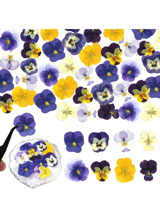 OSHIMA 54PCS Dried Flowers, Dried Pressed Flowers for Resin, Dried Pressed Pansies Flowers, Natural Dry Floral Epoxy, for DIY Art, Jewelry, Candle & Soap Making - Image 1